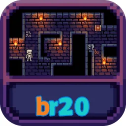 br20